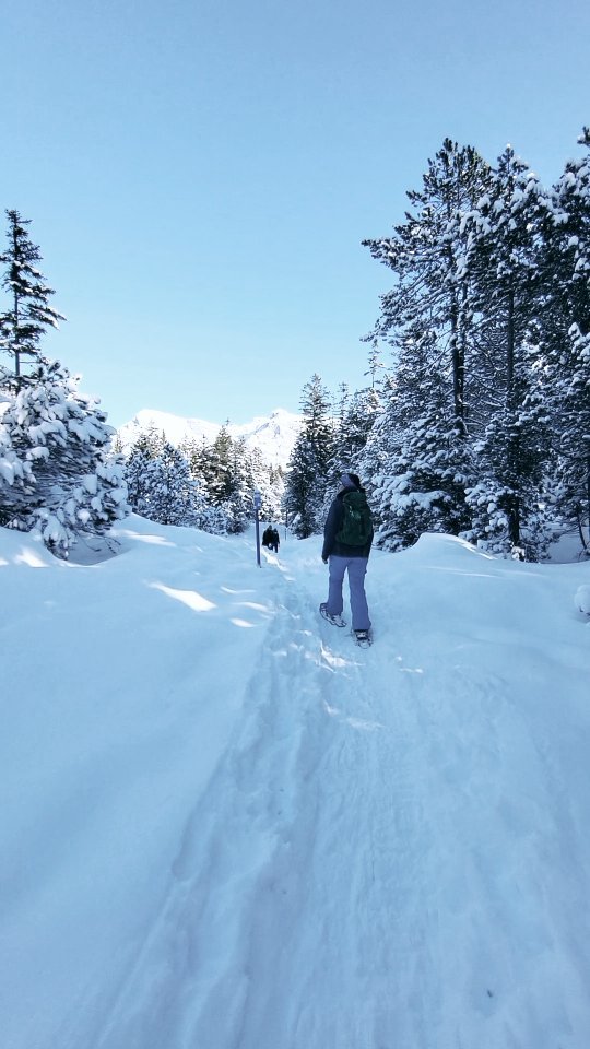 Snow-Hiking in a magical landscape 🤩
Arniseetrail
#switzerland🇨🇭 #snow #snowhiking #winterwonderland #magic #arnisee #arniseetrail #gooddaywithfriends #adventure #mountains