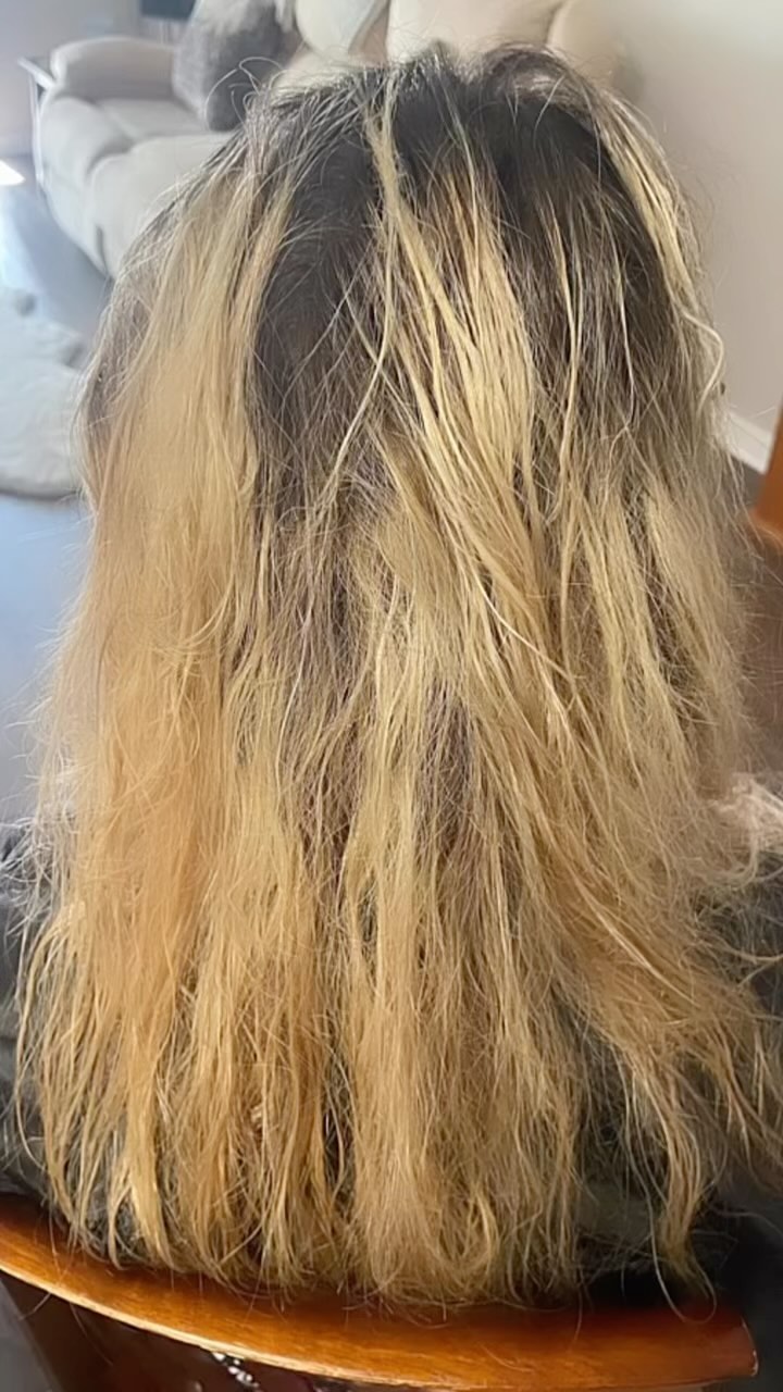 🍂Adding a touch of Fall with our blonde! #newlook #brondebalayage #redkinshadeseq [www.viviansbeauty.com)