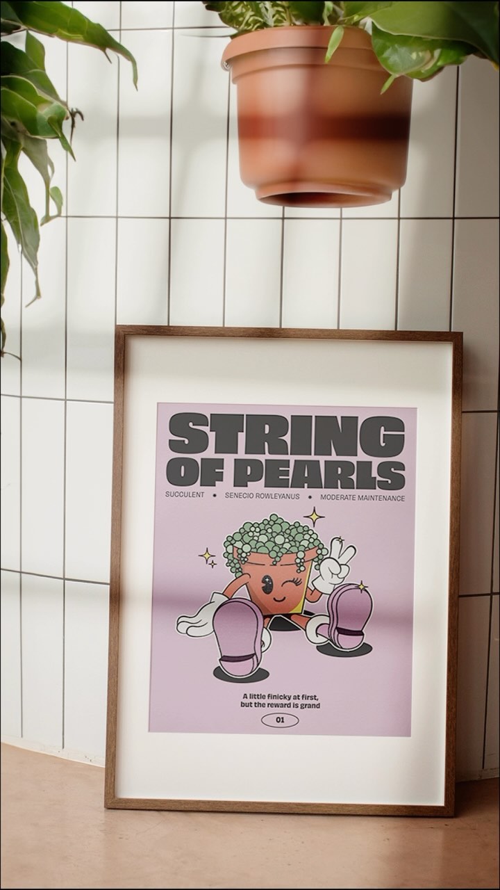 A quick process for my string of pearls illustration!
#graphicdesign #graphicdesigner #plantillustration #stringofpearls #graphicillustration kansasbaseddesigner #plantprint #retrodesign #kansasillustrator