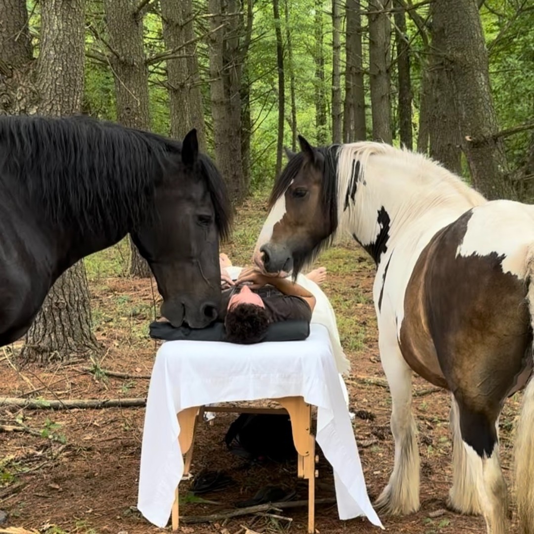 Inspired by @__candicewebster__. I decided to test it out myself, and tried energy healing with the help of my herd of horses. I am still in awe of and deeply humbled by the results.
It's known that interacting with horses has therapeutic benefits for humans, including: reducing stress, improving emotional well-being, even treating anxiety and PTSD.
What I was surprised to experience, is that having the horses in the session created a response in the energetic field.
As Pete described it, "It's like if when you close your eyes and you receive Reiki you can perceive the healing colors and feel the heat of the energy in front of you, but when the horses are there it gets amplified around you-encompassing you entirely. It's like listening to music in stereo vs. mono. It's so relaxing. I felt amazing afterwards- I feel lighter."
Thank you, @iampeter9000. ❤️
#energyhealing #healingwithhorses #reiki #ptsd #anxietyrelief #horsehealer #equinetherapy