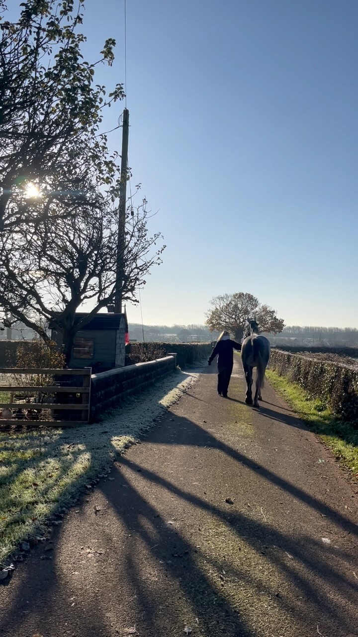 🐎 Gait Assessments 🐎
What are we looking for?
🐎 Straightness and symmetry of movement
🐎 Stride length and foot fall / balance
🐎 Limb flight and landing position
🐎 Head, neck and tail position
🐎 Active range of motion and stability of joints
More to come about tight circles and backing up in another post!
#vetphysio #npvetphysio #horsephysio #equinelife #horsesofinstagram #equinephysiotherapy