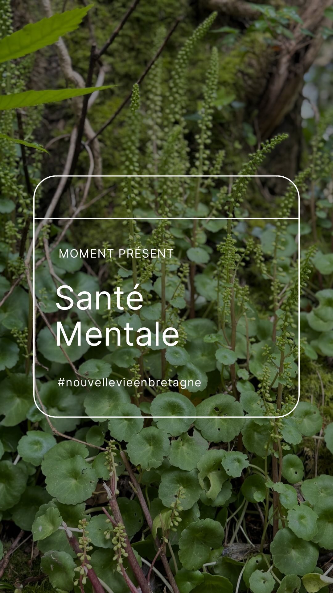 This year, as you know, I have to set pottery aside to focus on my health, which is mentally very difficult. (Even more difficult than this change of country.)
Fortunately, the nature surrounding me right now is doing me a world of good ⛅️🍃
My dog has always been a precious source of calm for my anxiety. Seeing her little butt bounce during our walks fills me with love and tenderness 🥹.
Even though she kept me up last night, like a baby that needs care, I forget everything as soon as I look at her and our connection is made.
Being out in nature helps to disconnect, live in the moment, observe, breathe, and take care of your mental health.
Having a pet is incredibly beautiful, pure, and invigorating 🐾💚
#mycompanionanimal #anxiety #mentalhealth
〰️
Cette année, vous le savez, je dois mettre la poterie de côté pour me concentrer sur ma santé, ce qui est mentalement très difficile.
(Plus difficile que ce changement de pays même)
Heureusement, la nature qui m’entoure en ce moment me fait énormément de bien ⛅️🍃
Mon chien a toujours été une source précieuse de calme pour mon anxiété. Voir ses petites fesses rebondir pendant nos promenades me remplit d’amour et de tendresse 🥹
Même si elle m’a empêché de dormir cette nuit, comme un bébé dont il faut s’occuper, j’oublie tout dès que je la regarde et que notre connexion se fait.
Sortir en nature permet de déconnecter, de vivre le moment présent, d’observer, de respirer et donc de prendre soin de sa santé mentale.
Avoir un animal de compagnie , c’est incroyablement beau, pur et vivifiant 🐾💚
#monanimaldecompagnie #anxiété #santementale