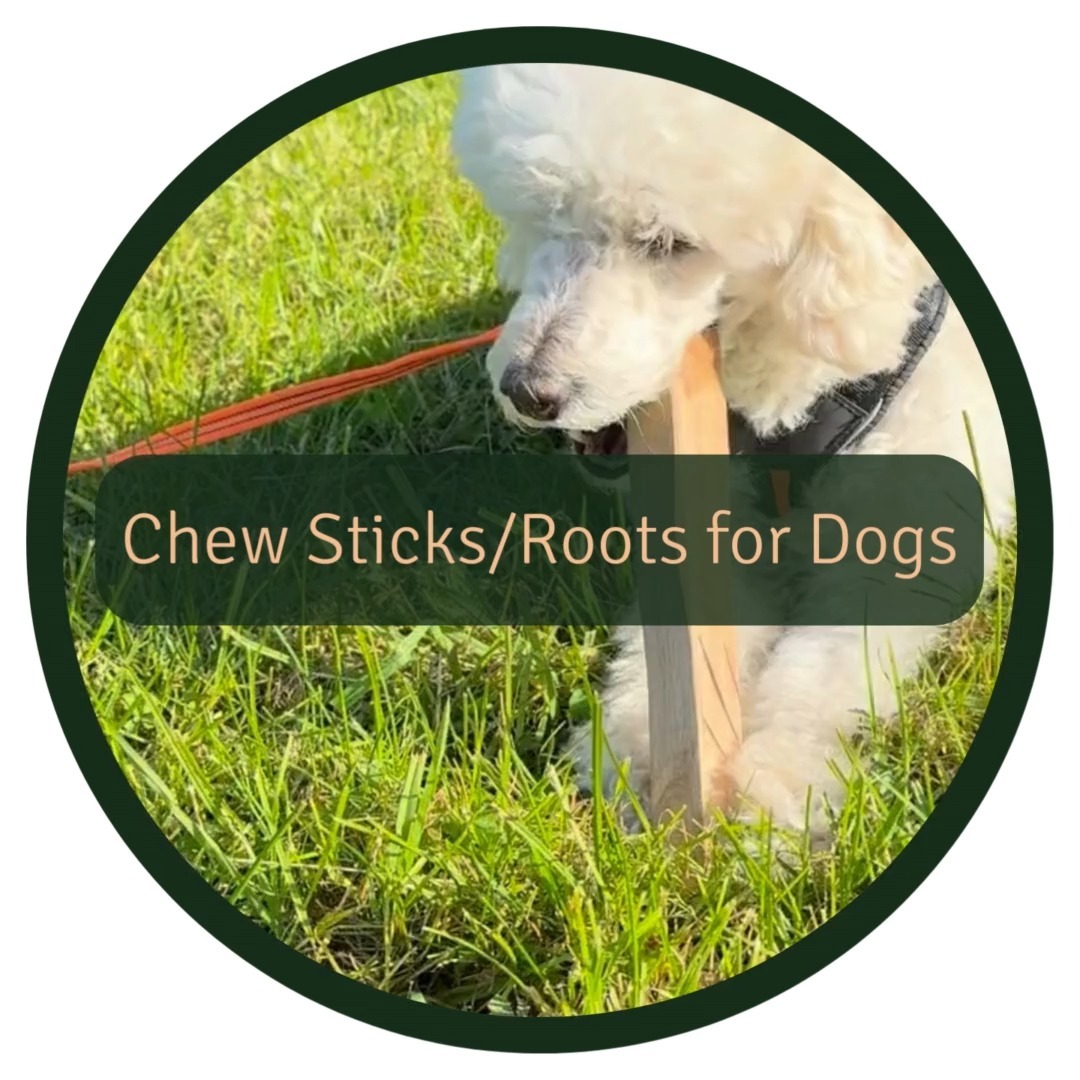 🐶 If your dog doesn't like chew bones or dental sticks, has allergies, or needs to lose weight, then chew roots or chew sticks from coffee wood or olive tree could be the ideal option. They could also be an alternative for dogs who like to chew on “regular” sticks as they don’t post the same risk of splinters, choking hazards, and more.
🦷 Why is it important for dogs to have access to things to chew on? Chewing is not just a pastime for dogs; it's essential for their overall well-being. Chewing on appropriate items can:
* Help clean their teeth and gums, reducing the risk of dental issues.
* Alleviate stress and anxiety, providing mental stimulation.
* Keep them engaged and prevent boredom-related behaviors.
However, ALWAYS supervise your dog during chew time to ensure their safety 🐩
#DogSafety #Chewroots #ChewSticks #PetCare"