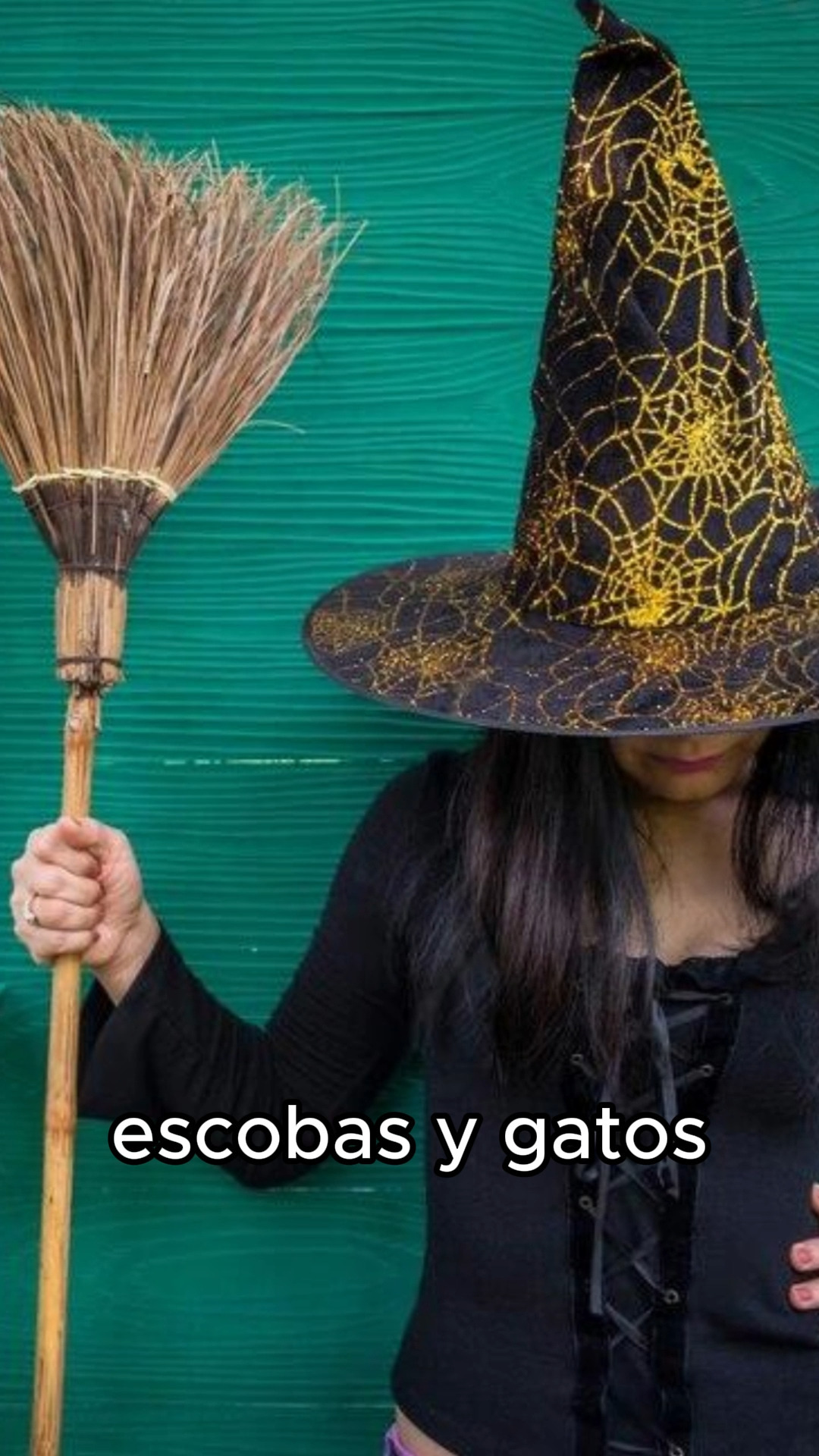 La imagen icónica de las brujas, con sus ropas oscuras, sombreros puntiagudos, escobas y gatos, tiene raíces sorprendentes en la historia. Estos estereotipos, que a menudo asociamos con la Edad Media, en realidad se originaron durante la Edad Moderna, especialmente en las comunidades protestantes. En aquella época, las mujeres que fabricaban y vendían cerveza, conocidas como alewives, fueron injustamente relacionadas con la brujería.
La vestimenta oscura y los sombreros puntiagudos eran prácticas comunes en las comunidades protestantes que abogaban por la austeridad. Los sombreros ayudaban a destacar en los mercados, y las escobas se usaban para señalar que la cerveza estaba lista. El caldero era esencial para la preparación de la cerveza.
La producción de cerveza era principalmente una ocupación femenina durante la Edad Media, y las mujeres gestionaban tabernas y mesones, vendiendo cerveza de alta calidad en los mercados. Sin embargo, la Reforma protestante del siglo XVI, que abogaba por la sobriedad, cambió la percepción de las mujeres cerveceras. Fueron vistas con desconfianza, y los cerveceros masculinos pudieron haberlas acusado de brujería para eliminar a la competencia.
Los gatos también desempeñaron un papel en esta historia, ya que eran valiosos aliados en la protección de los graneros de cerveza contra roedores. En el antiguo Egipto, donde la cerveza era esencial, los gatos eran mascotas apreciadas. Por lo tanto, tanto las mujeres cerveceras como sus gatos se enfrentaron a acusaciones de brujería, y el pelaje negro de los gatos podría deberse a la asociación de este color con las brujas o simplemente a su prevalencia en los gatos domésticos. Estos estereotipos se perpetuaron a través de cuentos populares ilustrados y persisten en la imagen que tenemos de las brujas en la actualidad.
#beerschool #beerscool #brujas #alewives #halloween #educacioncervecera #beersnob #beertography #craftbrew