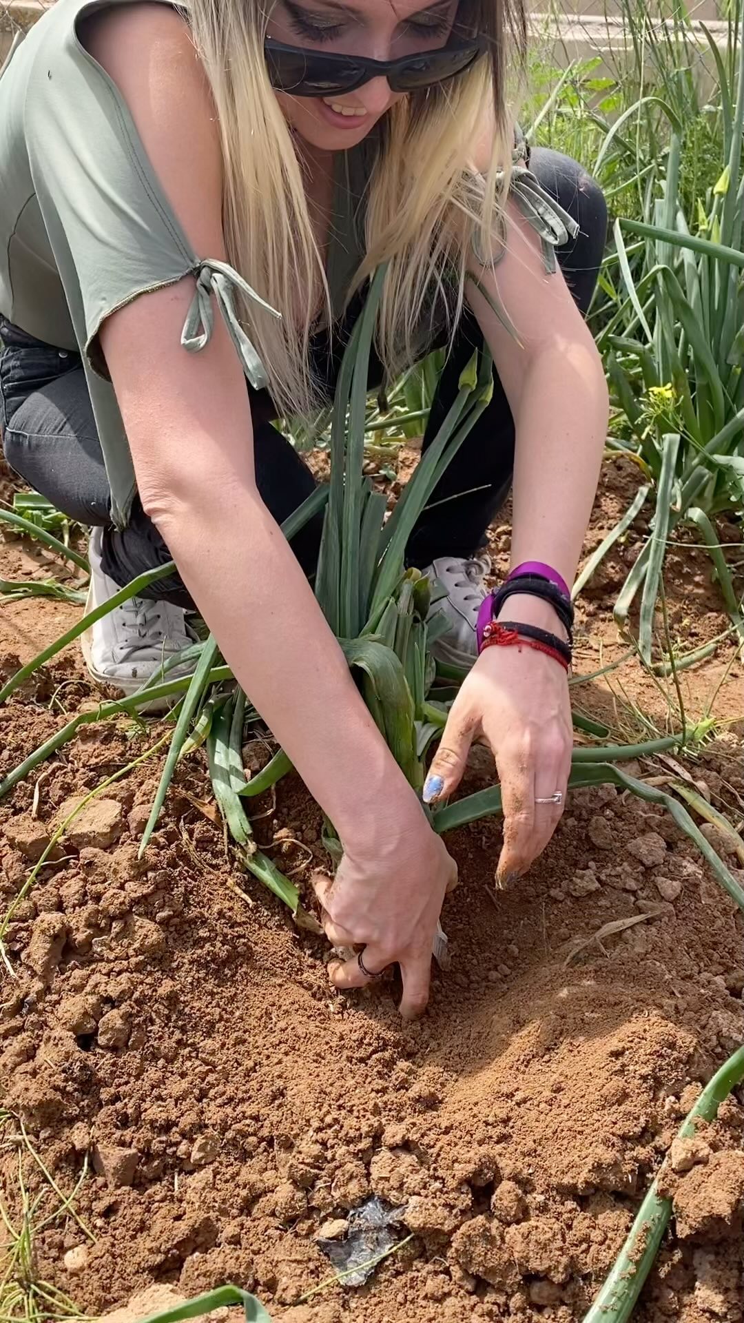 Una vez más, los calçots de @cheterreta nos dejan sin palabras!
Gracias a todxs por confiar en nuestra terreta y por disfrutar de un día maravilloso con nosotrxs 🎉🧅♥️.
Hasta la próxima temporada de calçots!