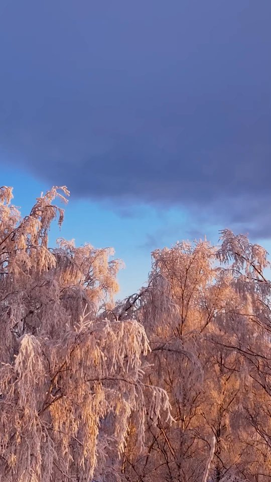 Hold on, brighter days are coming 😎🌞