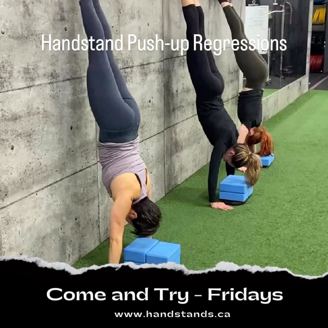 Come and Try throughout June!
Handstands are an amazing and fun discipline. Build strength, develop skill, balance, proprioception, coordination and active mobility. Also improves posture and alleviates pain given the full body tension nature of the practice. DM for info and days you can experience for yourself.
Suitable for all levels. Do not need to go upside down in first sessions - plenty of ground based foundation so you can come even if a little fearful 😇
#handstands #strengthtraining #skill #fitnessmotivation #redefineyourpossible
