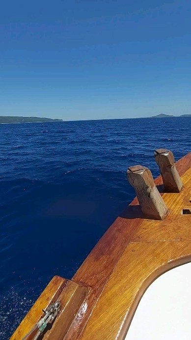 Chopping!!#skopelos #alonnisos #snorkeling #dailycruises #sealife #swimming #sporadesislands