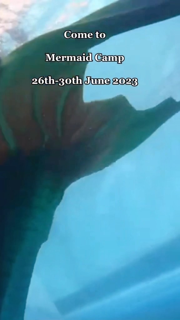 Ever thought of becoming a professional mermaid? Well we still have spaces at our next #MermaidCamp!
A one stop shop for everything to go pro, or even just to learn the skills and have fun with likeminded enthusiasts.
What can you expect?
- Learn to swim in a mermaid tail or improve on the skills you already have
- Both Land & Underwater photo shoots with full guidance and coaching from experienced mer-models
- Freediving training & certification
- Learn about all the different kinds of tails, get to see and feel a huge range in person and decide what type & brand is best for you!
- Learn what makeup is ACTUALLY waterproof and receive free samples
- And so much more!!
All good & accommodation is included and all dietary restrictions are catered for 🍽️
Head to our website and pop your email in the Mercamp sign up box to receive all the info you need! Payment plans are available.
.
#mermaidcamp #mercamp #mermaidcourse #learntobeamermaid #freediving #freediver #learntofreedive #freedivecourse #mermaidcourseuk #reallifemermaid #professionalmermaid #uwphotoshoot #underwaterphotoshoot #mermaidjobs