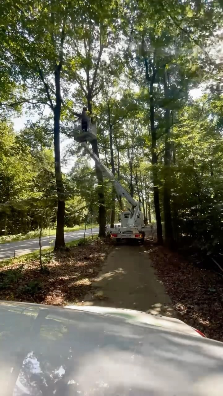 Unsere Baumpflege-Team in Aktion bei der Totholzbeseitigung und beim Lichtraumprofilschnitt.
#baumpflege #baum #gartenbau #galabau #diegollo #gollo #reesegruppe #365tagefürsieimeinsatz