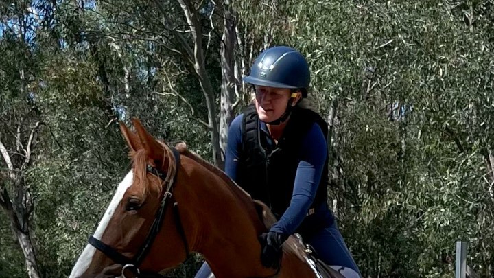 Mare by Registered Irish Draught stallion Cushavon Kalin Ri from thoroughbred mare. Four years old. Mature 16hh plus. Beautiful quiet temperament. $15 000