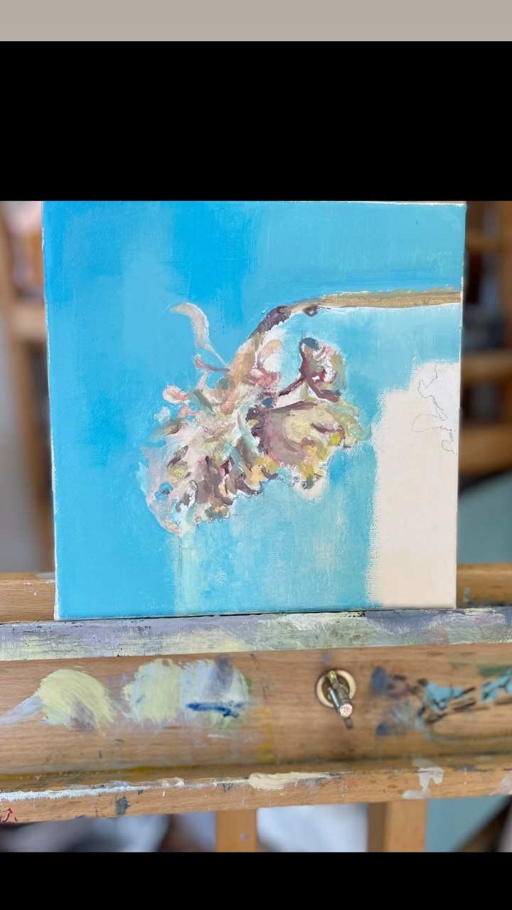 Slowing down and noticing the smallest details….
#artandnature
#sketchingflowers
#negativespace
#payingattention
#artistsoninstagram
#artoftheday
#botanicalart
#rosmansfieldart