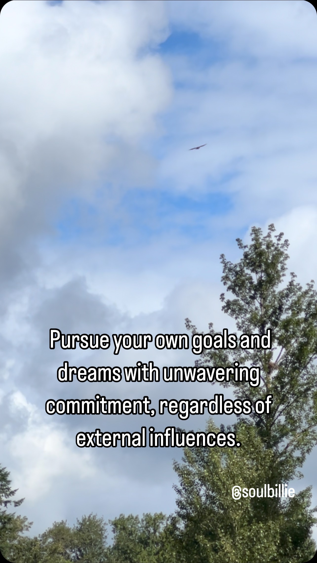 Pursue your own goals and dreams with unwavering commitment, regardless of external influences.
Just like crows distract a hawk to stop it from hunting, outside distractions can keep you from reaching your goals. Stay focused and don’t let anything or anyone steer you off course. Your determination is key to your success. Keep your eyes on your goal and keep moving forward.
#goals #keepmovingforward #nodistractions #mothernature #lifecoaching #determination #persistance #focus