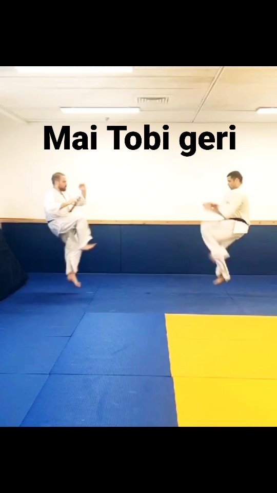 Mai Tobi Geri - practice by playing 🥋🔥