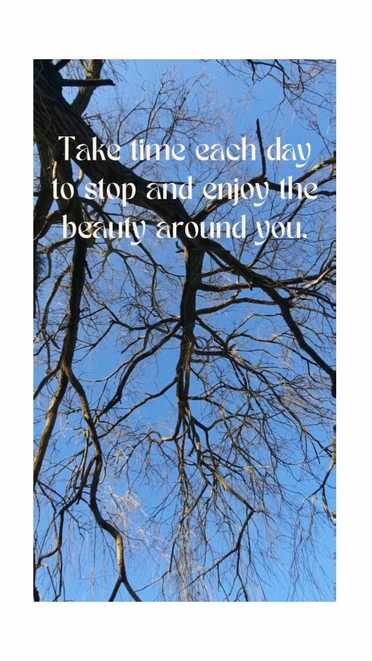 ๐ฟ There is so much around us to see, enjoy and feel
๐ฟ Give it some space, allow it into your routine
๐ฟ Notice things you've never noticed before