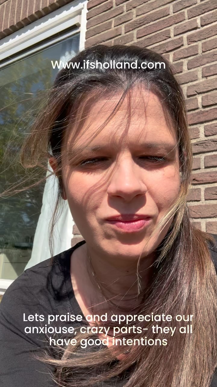 #psychology#ifs#healingjourney#amersfoort#amsterdam🇳