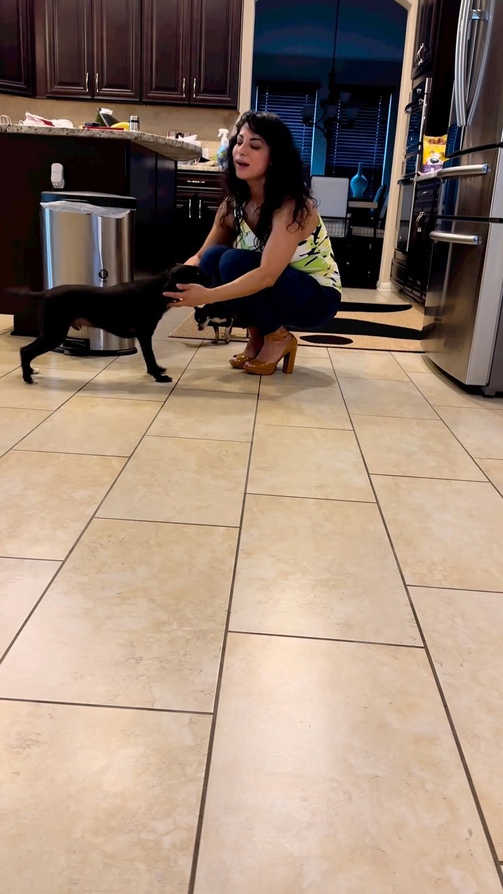 Mis dos amores, ♥️♥️♥️
Aveces se ponen celosos y no se a cual de los dos abrazar y darle besitos!!