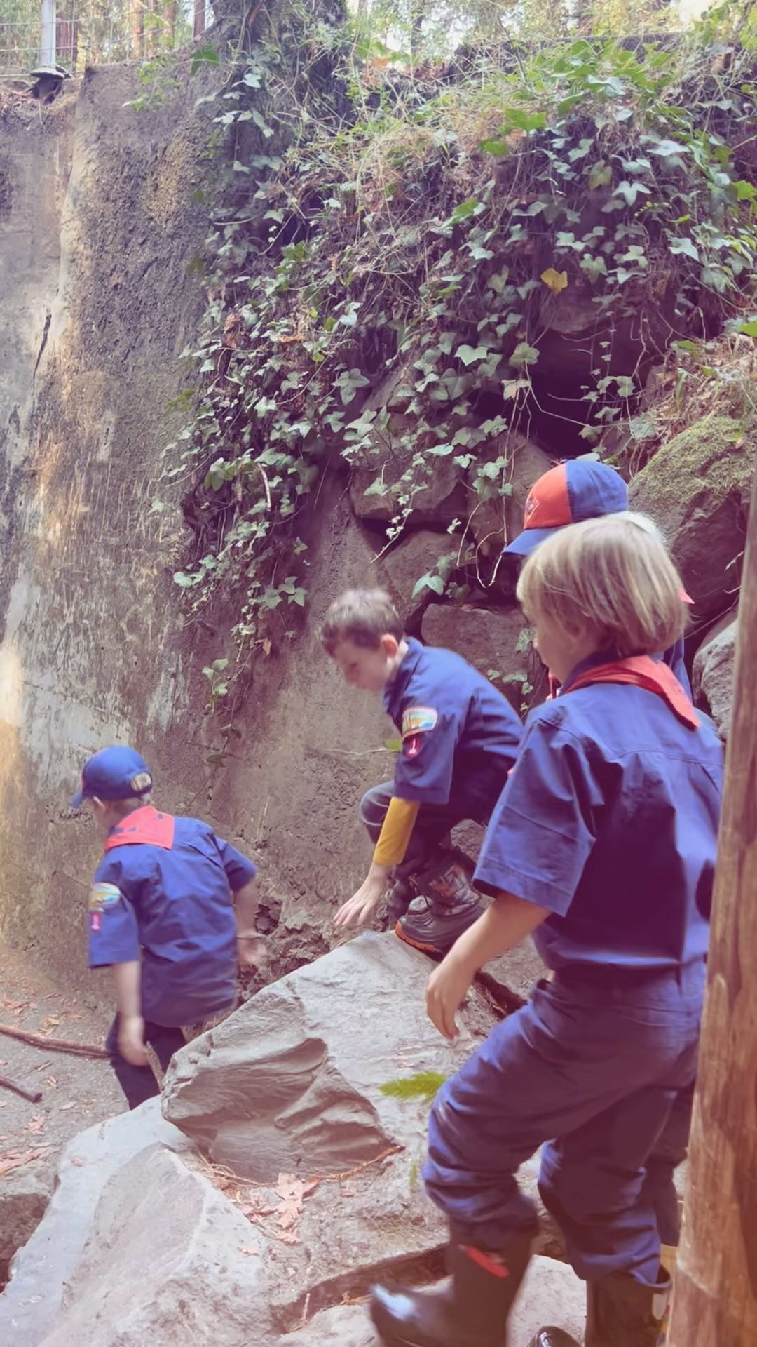 Our Tiger den has multiplied and we are back together again for the 2024-25 school year. Had a blast stomping up the creek and learning about local plants and trees and hiking to Three Wells. It was a fun welcome to all our new Scouts !