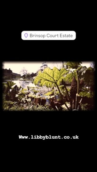 @brinsopcourt limited space left for 2025!