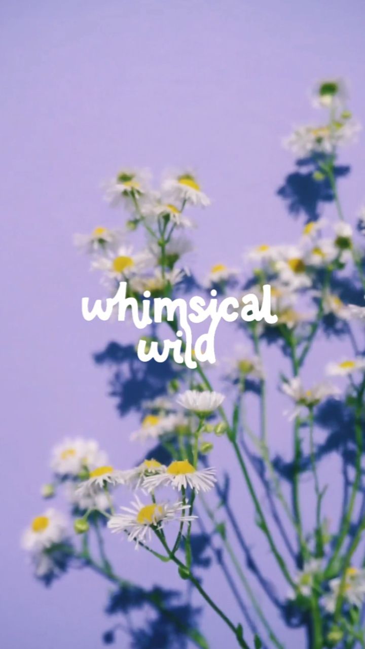 What we see forms opinions, judgements and ideas about a brand at a deeper level than we first realise.
Making sure those perceptions are correct is really important.
Are the colours of your brand setting the right tone, is the style of your logo and identity aligning with your values and brand personality, is the professionalism and quality of your visual identity truly reflecting the time, effort and quality you ensure your customer receives.
The brand identity you put out there is the environment customers are greeted with.
If you walked into a dingy room with ripped wall paper, cluttered floor space and broken furniture would you want to hang around to see what else there is to offer? Nope.
Your brand identity can have the same effect. Are your visuals reflecting the brand you want to be, the values you hold, the quality you serve? Is your brand identity your businesses very own cheerleader?
If you need help creating a brand that's going to sing your praises, attract your dream customers and elevate your business then we are more than happy to chat.
Book onto a brand discovery call or drop us a message
-
#smallbizlove #mamamadeuk #femaleentrepreneuruk #femininbusiness #womeninbusiness #soulpreneur #businesssuccesstips #femalefounder #womenledbusiness #smallbusinesslove #smallbusinessuk #fempreneur #businessstrategist #beyourownboss #workforyourself #businessbydesign #businessgrowth #buildabusiness #businessforlife #livethelifeyoulove #designagency #brandidentity #branding #brandingdesigner #logodesign #brandinginspiration #femininebranding #fashionbranding #modernbranding #brandstrategyanddesign