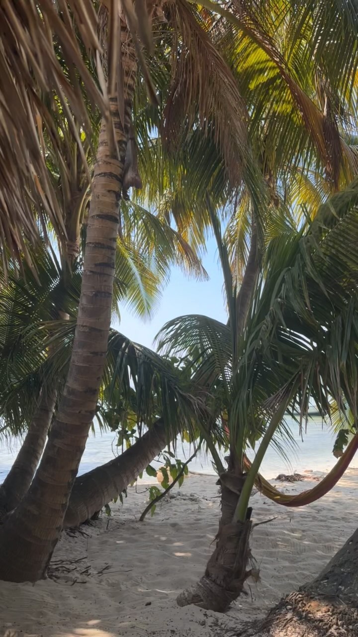 BELIZE BUSINESS TRIP