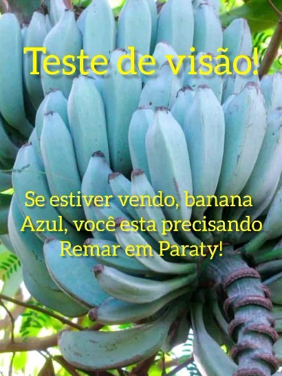Teste de Visão!
Você viu a Banana Azul ou Amarela?
#Paraty #paratyrj #caiaque #caiaquebrasil #passeios #tours #kayaktour