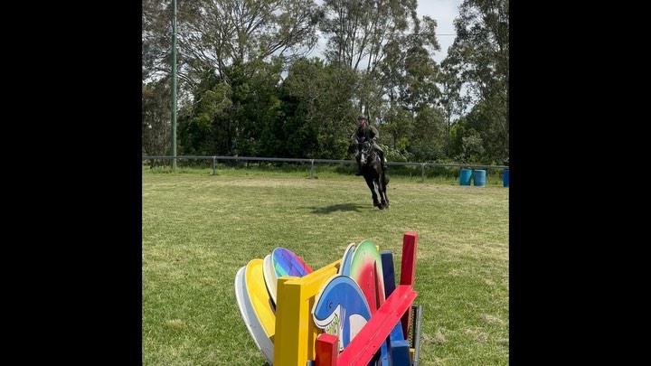 First lesson with David Finch for our young Irish Draught stallion Cushavon Tiernan Ri☘️