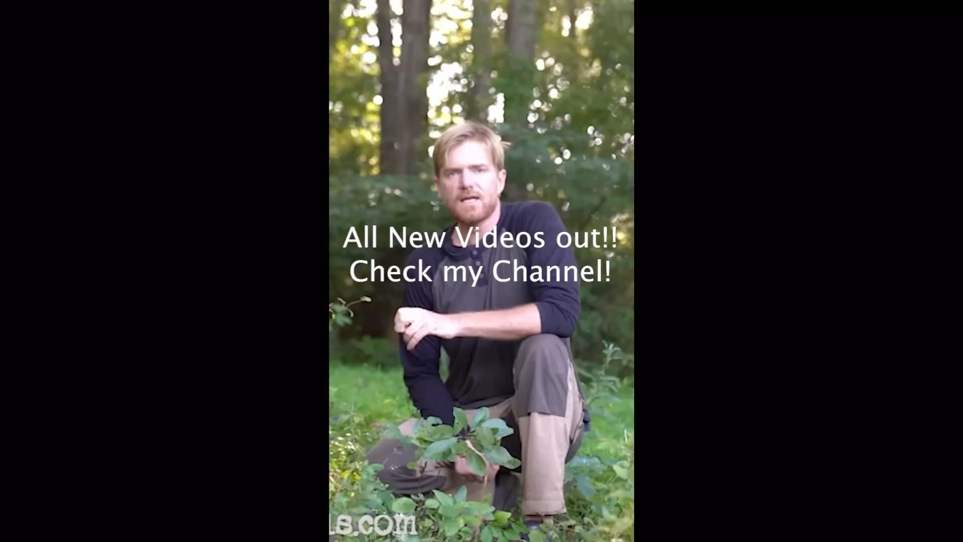Survival torches a mile deep in cave!!! #Survival #bushcraft #primitiveskills #fire