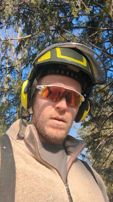 Best job I ever had #treeservice #owneroperator #treeremoval #treepruning #arborist