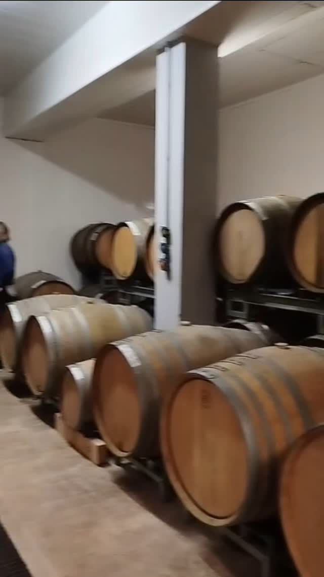 Barrel Size & Champagne Aromas: A Hidden Influence! 🍾
Did you know the size of the barrel can actually shape the aromas in your favorite Champagne? It's true!
#toursinchampagne
#tourwithlocals
#besttours #winetours #champagne #champagneexperience 
#champagnelover #champagnelovers
#champagneaddict #champagne
#private #privatexperience #honeymoon #champagnesecret #champagnemoments #champagneprivateexperience #luxurychampagne #finechampagne #champagneguide #champagnelife  #champagnetasting #winelover #winelovers #winetasting  #wineblogger #winedestination #winetravel #winetraveler
#thechampagnewineclub #champagneluxurytrip