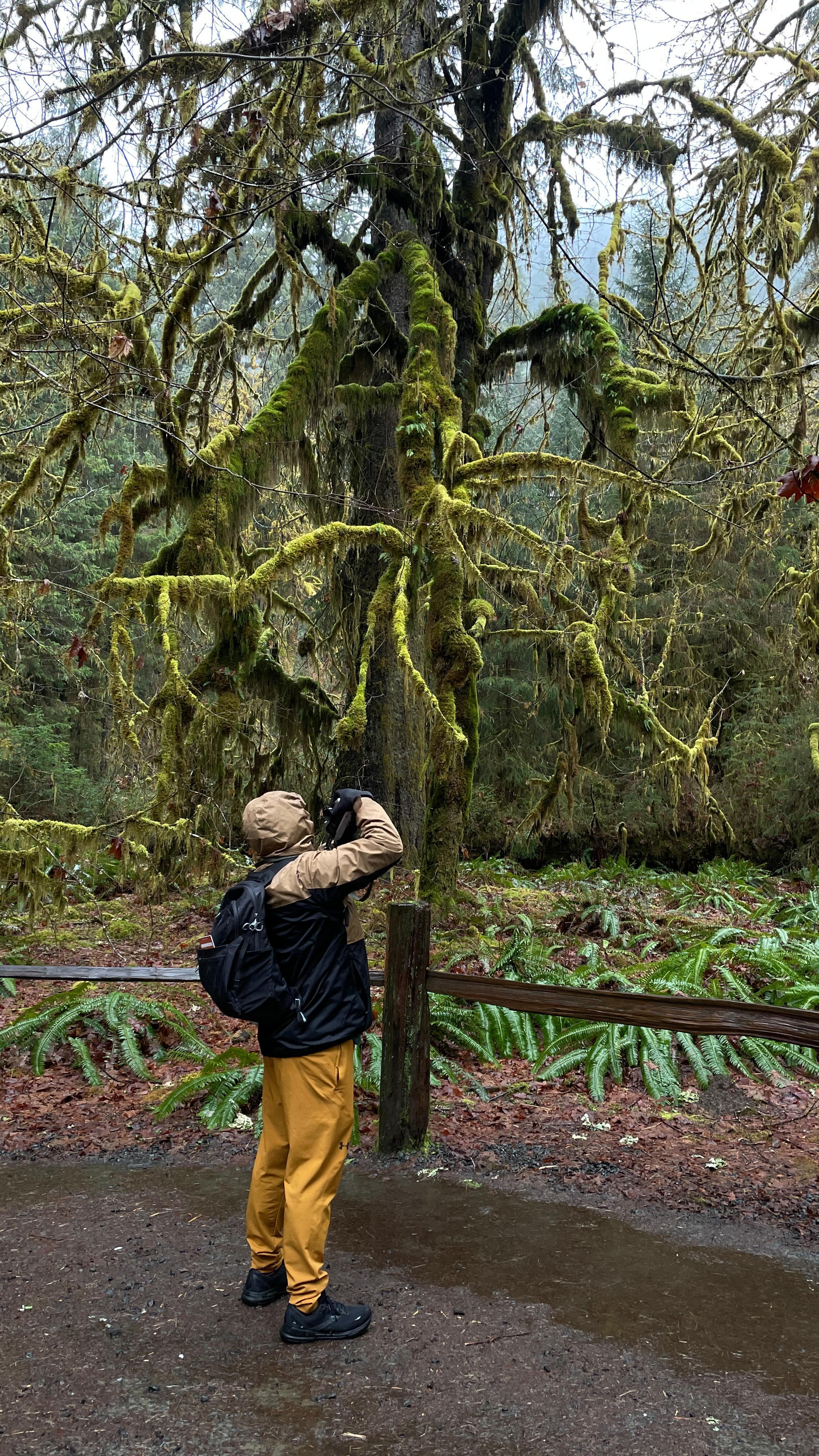 Happy Earth Day 🌎
I still can not believe how insanely beautiful Olympic National Park was. Pictures do not do it justice. It was like wandering through a fairyland.
America truly is such a stunning place to live. Gods handiwork is on display everywhere 💚