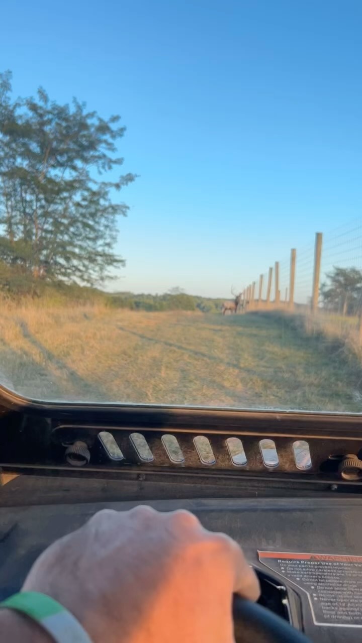 Can’t wait to get hands on him!!!#hunt#deer#elk#trendingreels