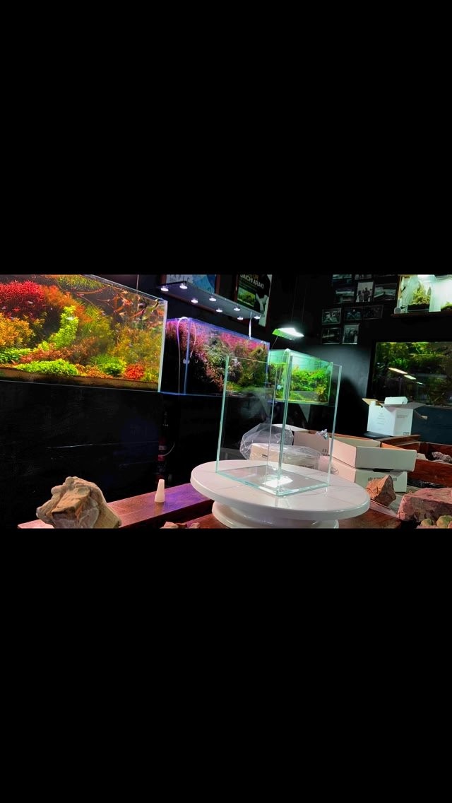 I did my best, hope you guys enjoy it.
Ada mini na set 150
#plantedtank
#aquascaping
#aquascapers
#aquascapingworld
#plants
#ada
#mininaset150
#miniature
#small