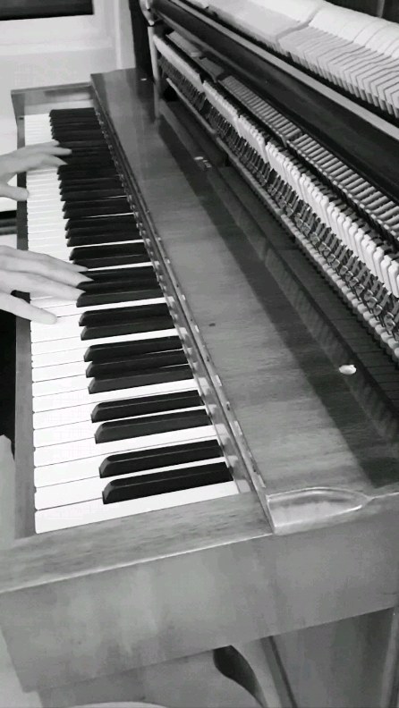 Today’s single release from my upcoming album (Feb 9, 2024) is called 'pureness' - I have chosen clear harmonies in the composition, which are the basis of the simple melody, to achieve exactly the #pureness that gives the track its name. No frills, no virtuosity - just pure music that inspires you to dream and pause. Enjoy the piece on all streaming platforms from today - I hope you all enjoy listening to the whole track, which I here play as an extract on my Östlind & Almquist piano.
.
#classical #classicalcomposer #classicalmusic #classicalmusician #classicalmusicians #classicalpianist #classicalpiano #pianist #pianists #pianistsofinstagram #piano #pianolovers #pianoplayer #pianosolo #pianistsofinstagram #silentbeatrecords