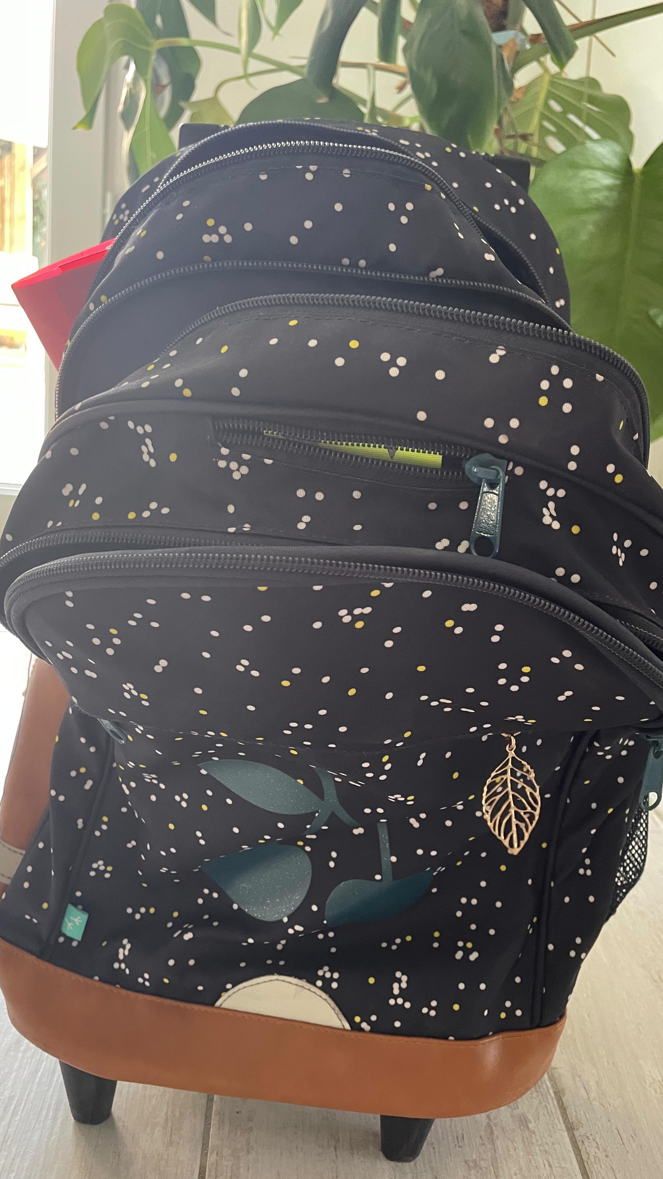 Avant d’acheter les fournitures scolaires pour l’année suivante, je vérifie chaque élément :
📓si un cahier est entamé de quelques pages, je les arrache ou coupe proprement et c’est reparti pour une année
📕 s’il reste quelques pages à un cahier, elles sont arrachées et gardées pour du brouillon
📒 je vérifie l’état des portes-vues, des pochettes et des classeurs
🖍️ je vérifie les stylos, les feutres… si certains sont vides, j’achète un paquet mais ne remplace que l’a couleur qui manque.
👝 on garde la gomme, les ciseaux, la règle, le taille crayon et la trousse part au lave-linge ou est nettoyée à la main selon le type
#founitures #fournituresscolaires #rentree #rentreescolaire #cartable #ecologie #economie #ecole