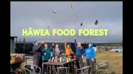 The Hawea Community Food Forest, providing food security with FUN as a main ingredient! Join in every Saturday at 11:00.#wanaka #mountainspirit #lovewanaka #newzealand #food forest #community garden