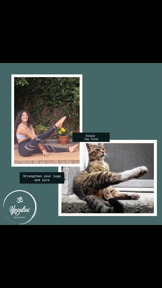 Happy Friday! What better way to celebrate international yoga day than with a #fridayfun post 😸
Cats have insane flexibility, so it's not surprising today's post shows a cat making yoga look effortless and graceful!
Hope you all have a wonderful weekend 💜
#internationalyogaday #helloweekend #catlovers #singlelegstrength #yogiseeyogido #yogigirl #yogalondon #summerstretch #strongwomen #stronglegs