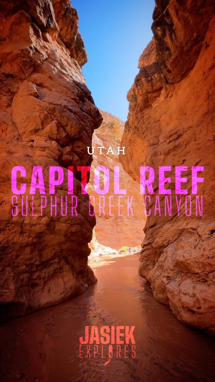 Here’s another fun playground 🛝 💦 #hike #trails #capitolreef #canyon #creek #getoutandexplore Just erm, don’t drink from it 🚱