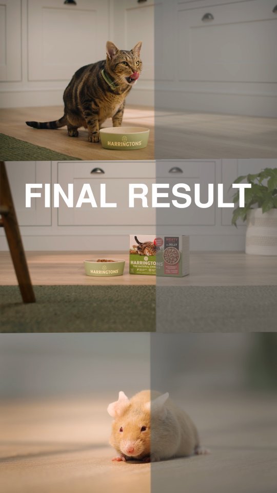 Heres a beakdown on how I'd colour grade some footage I shot for a Harringtons TV advert last year 🎨
Personally, I love being able to see my footage come to life in the colour grade!
(Not the final grade that made the TX)
Agency: @imahomeglobal
Director: @laurenrawlins
Producer: @edelmfowell
DoP: @jordanleevideo
Camera Asst: @robworseyfilm
Grip: Jason Lee
#tvadvert #cinematography #bts #beforeandafter #colourgrade #editing #dop #sonyfx6 #sonyfilmmakers #petfood #tvad #advertising