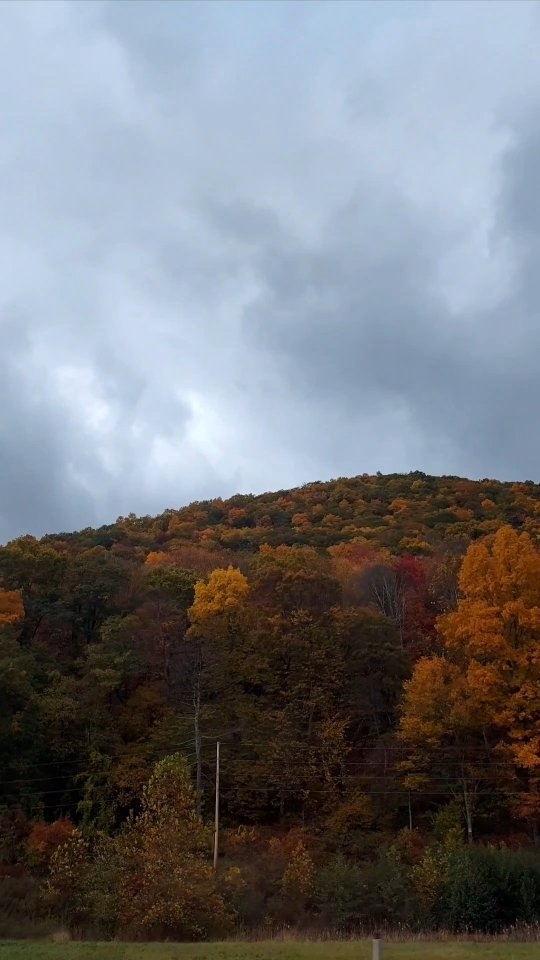 Beautiful Penn Autumn for our road trip 🍂🧡 Overdue, but worth it #autumn #roadtrip