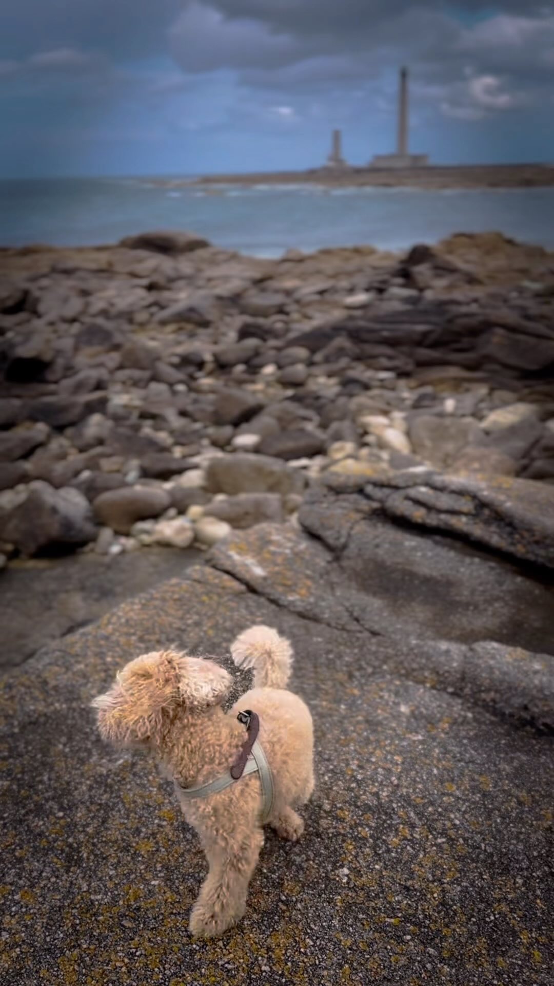 A beautiful Sunday stroll from Barfleur to the Phare of Gateville with wind and sea to recharge!