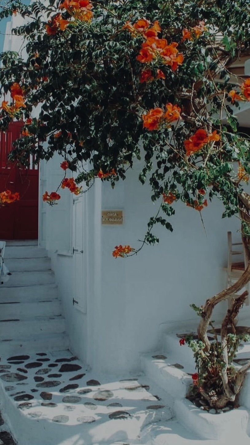 DM US FOR A FREE CONSULTATION ON HOW TO: ACQUIRE YOUR GREEK CITIZENSHIP 🇬🇷🔥 #greece #greekpassport #greeks #globalgreeks #greekcitizenship #greekcitizenships #elladamou #ellada #schengenvisa #schengenpassport