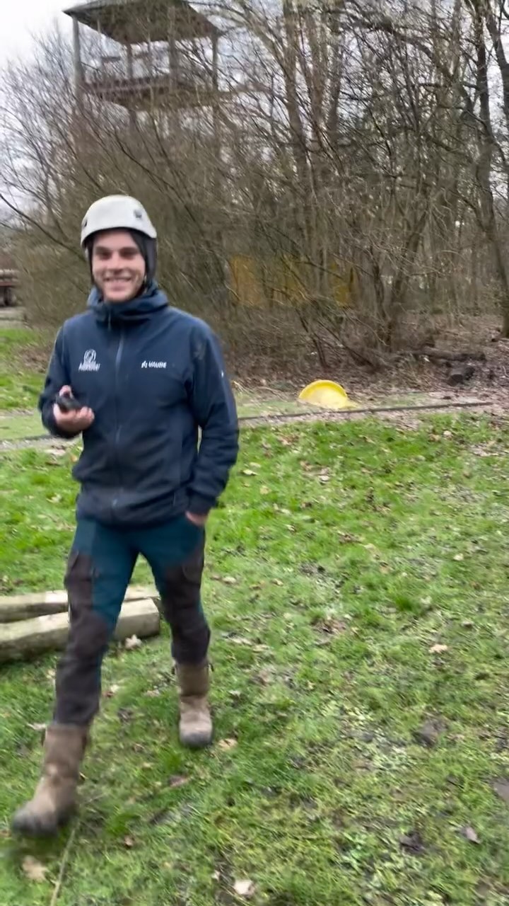 De beukers in hun natuurlijke habitat 💪🏼 #klimpark #highropes #ropescourse #zipline #bouwhetavontuur #kletterwald #streekbos