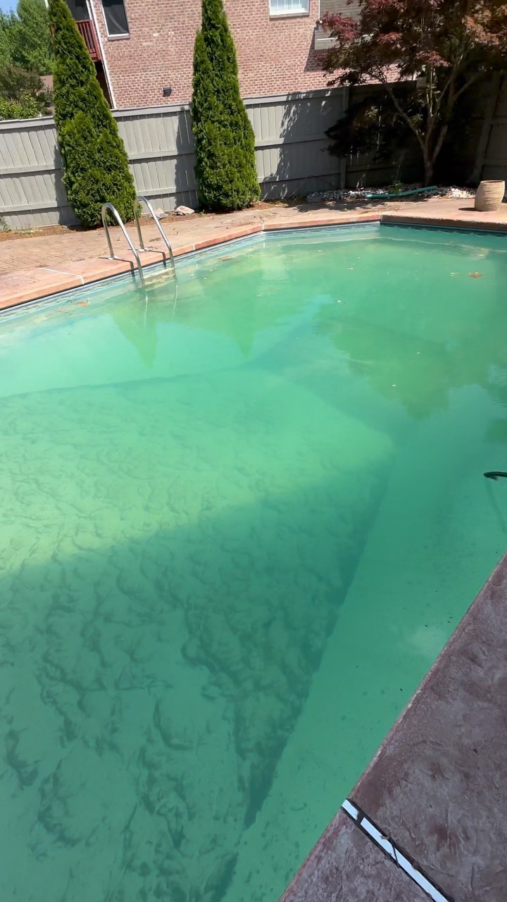 Summertime Sadness?! We have you all for your green to clean needs!
Call or visit us online!
(252)599-6288
www.ahoyhelp.com
#poolservice #greentoclean #poolguy #swim #poolboy #virginiabeach #hamptonroads