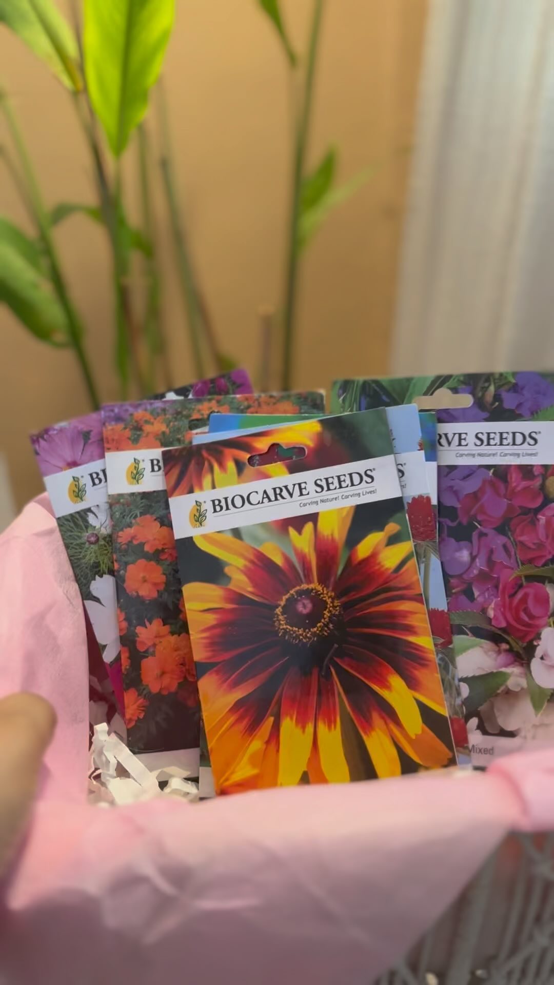 When it comes to gifting, फ़ुल के बीज>>>>>>फूल.
Cosmos- symbolises love and harmony.
Gomphrena- symbolises love, affection and friendship.
Balsam- symbolises healing, peace, purity, and marks new beginnings and hope.
Rudbeckia- symbolises encouragement.
#biocarveseeds #floralseeds #giftingseeds #seeds #giftseeds #giftideas #giftingflowerseeds #bestgiftideas