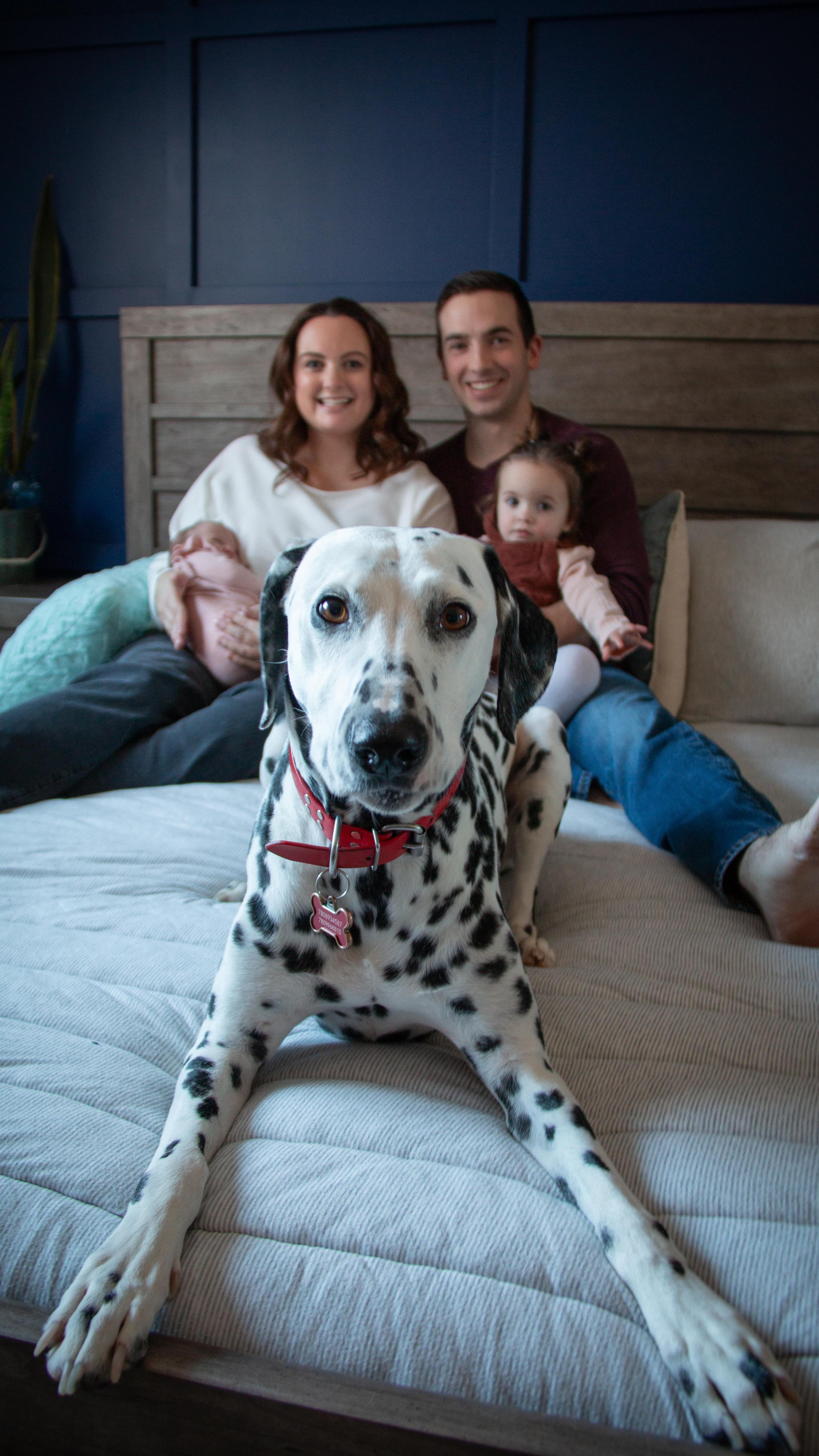 WELCOME BABY JANE! You are loved beyond words and your big sister has given the fist bump of approval on the sisterhood oath! Mom and Dad are overflowing with joy and Pongo is too! 🐾I mean, what other name should the Dalmatian have?! 😍🙌🏻
@bribertholet Thank you for having me to capture these precious moments in your family’s story! 💕💕
#newborn #newbornphotography #babyjane #yegphotographer #yegnewbornphotographer #yegnewbornphotography #stalbertnewbornphotographer #stalbertphotographer #stalbertphotography