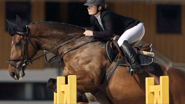 Our website launch is getting close now! 🤩
#horselinx #showjumping #dressage #eventing #equine #instagood #horse #marketplace