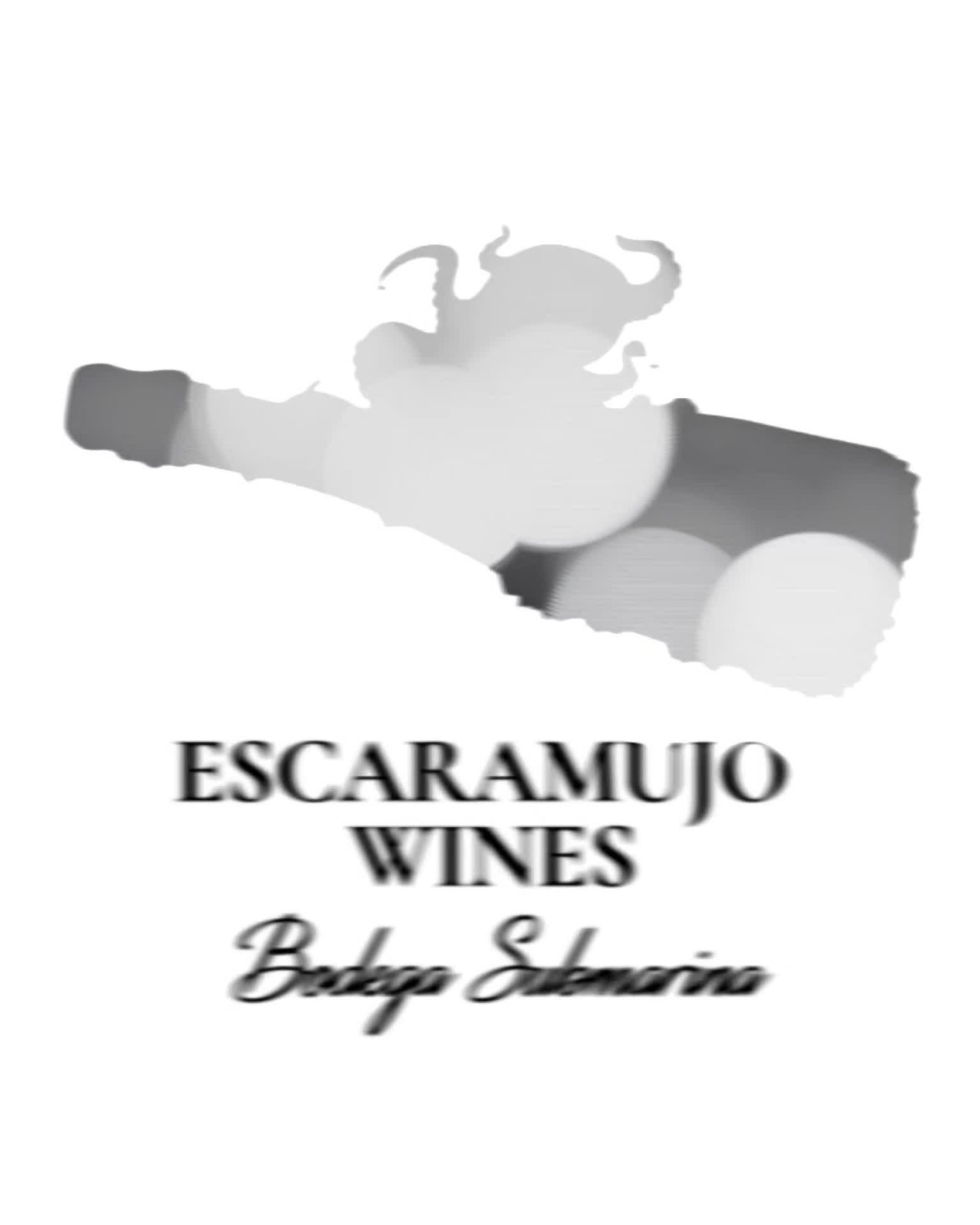 El vino más romántico del mundo madura bajo el mar… ¿Lo probarías con tu persona especial?
.
.
.
#sanvalentin #regalodesanvalentin #amantedelvino #elregaloperfecto #vino #vinosubmarino #escaramujowines