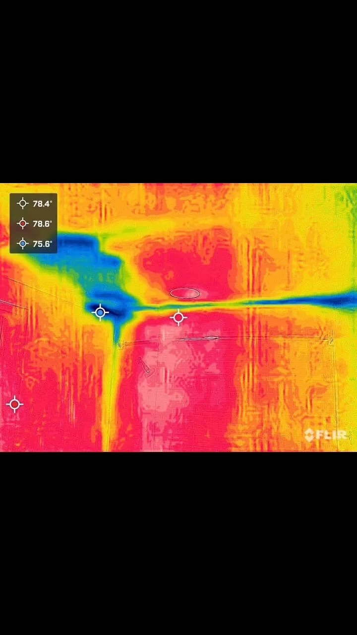 Catch it now or catch it later!