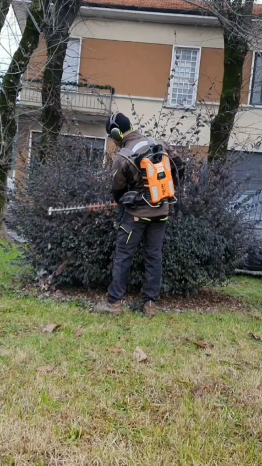 Potature.
.
.
.
.
.
.
.
.
#treesurgeon #treclimbing #giardinaggio #giardino #natura #garden #piante #green #fiori #verde #nature #gardening #potatura #italy #giardiniere #giardinodicasa #italia #love #flowers #landscape #plants #polliceverde #potature #foglie #sempreverde #giardini #topiartis